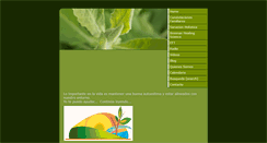 Desktop Screenshot of constelacionespr.com